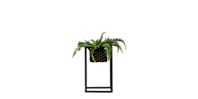 Lazio Plant Stand Cachepot Small